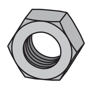 Hex Nut